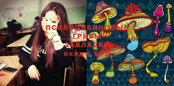 эйфоретик Алексин