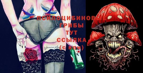 бошки Абаза