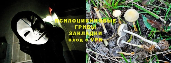 винт Алзамай