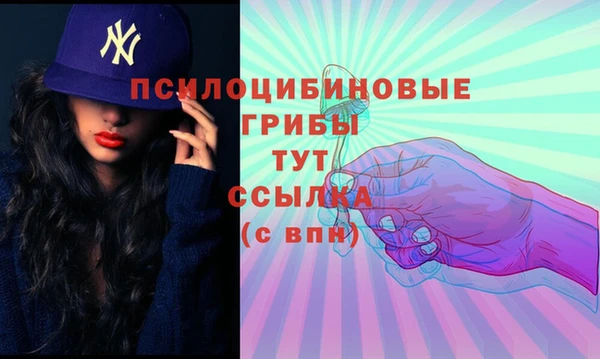 эйфоретик Алексин