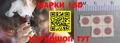 крисы Краснодар