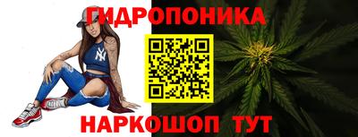 крисы Краснодар