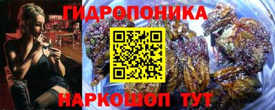 крисы Краснодар