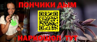 крисы Краснодар