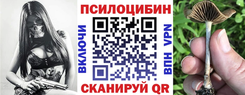 Галлюциногенные грибы MAGIC MUSHROOMS Донской